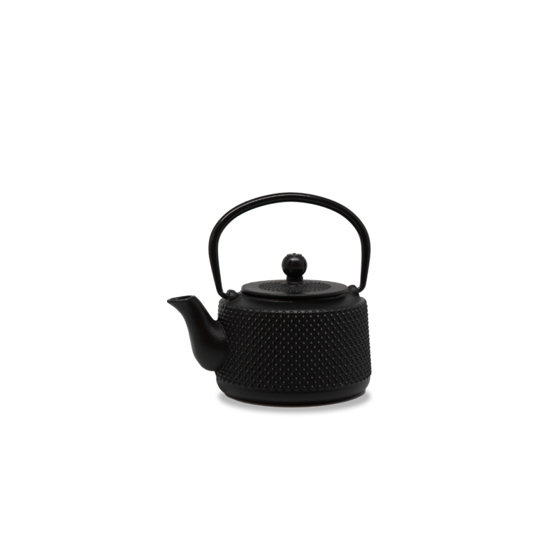 WD LIFESTYLE - Teiera in Ghisa | ANTRACITE