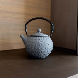 WD LIFESTYLE - Teiera in Ghisa | GRIGIA