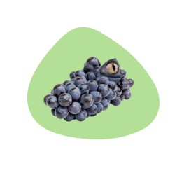 WD LIFESTYLE - Tovaglietta...