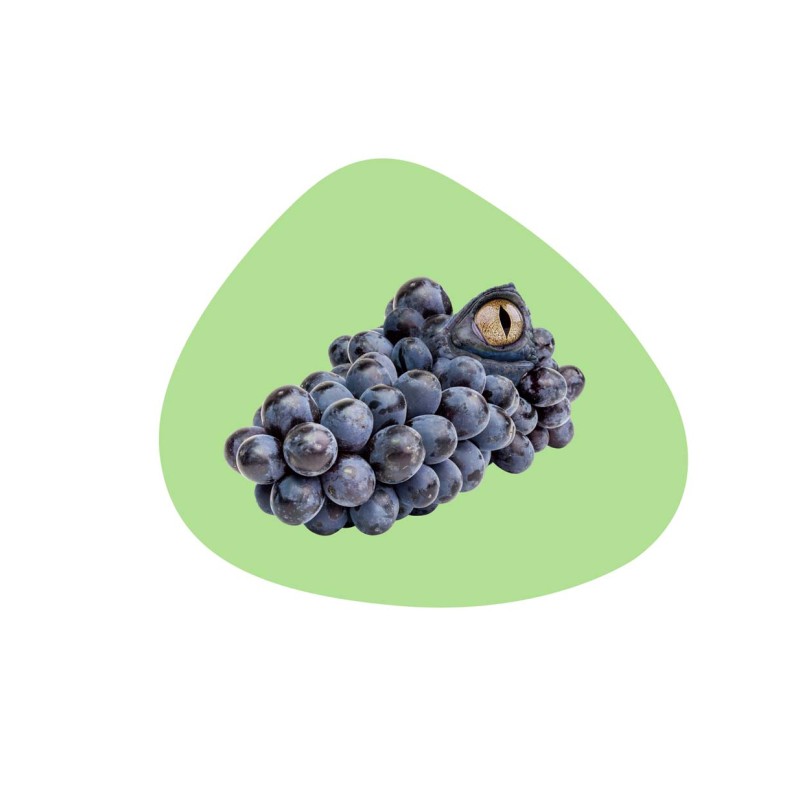 WD LIFESTYLE - Tovaglietta Double-Face ALLIGATORE