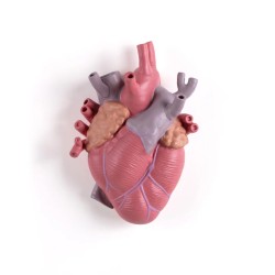 SELETTI Vaso "Love in...