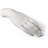 SELETTI MEMORABILIA MVSEVM Collezione Sculture Parti Umane - Mano Donna